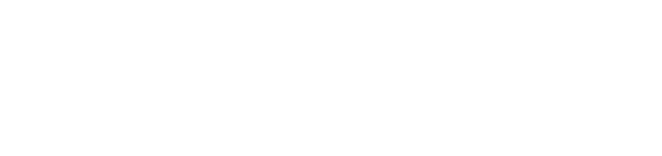 LOGO-KOMET110